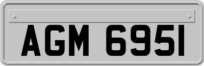 AGM6951