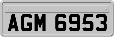 AGM6953