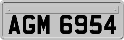 AGM6954