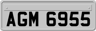 AGM6955