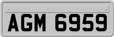 AGM6959