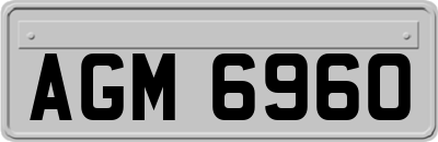 AGM6960