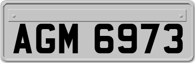AGM6973
