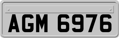 AGM6976