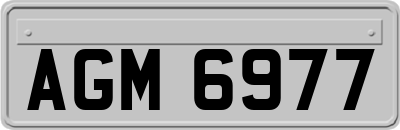 AGM6977