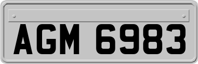 AGM6983