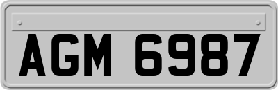 AGM6987