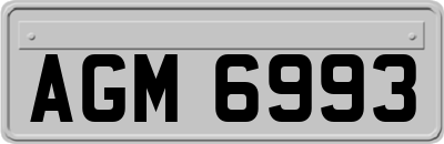 AGM6993