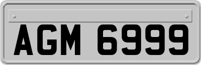 AGM6999