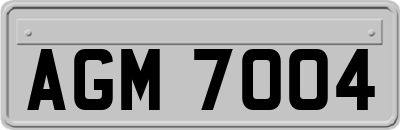 AGM7004