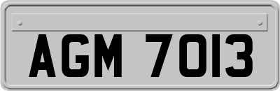AGM7013