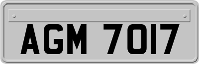 AGM7017