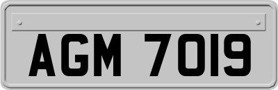 AGM7019