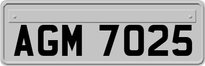AGM7025