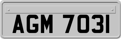 AGM7031