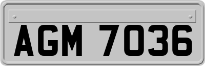 AGM7036