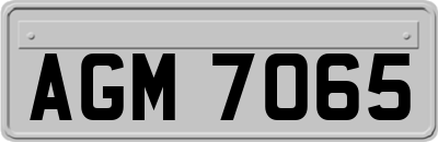 AGM7065