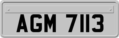 AGM7113