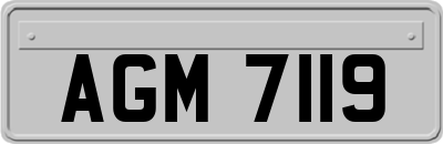 AGM7119