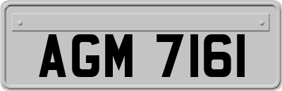 AGM7161