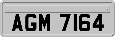 AGM7164
