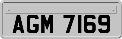 AGM7169