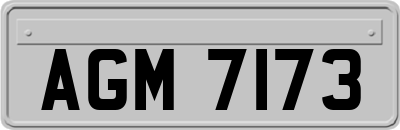 AGM7173