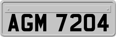 AGM7204