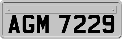 AGM7229
