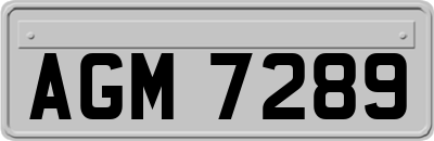 AGM7289
