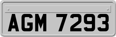 AGM7293