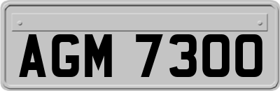 AGM7300