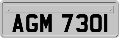 AGM7301