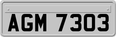 AGM7303