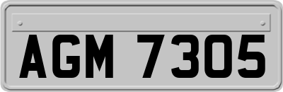AGM7305