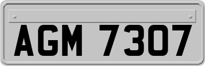 AGM7307
