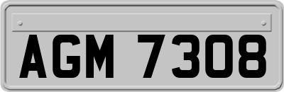 AGM7308