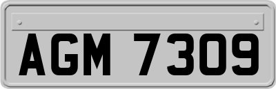 AGM7309