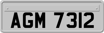 AGM7312