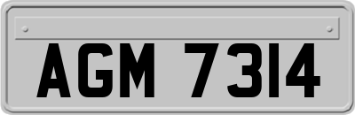 AGM7314