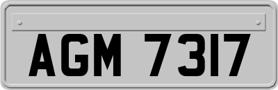 AGM7317