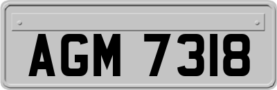 AGM7318