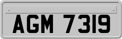 AGM7319