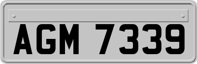AGM7339