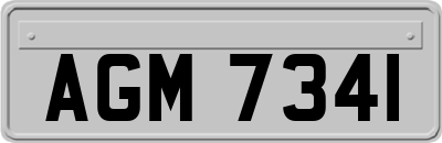 AGM7341