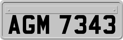 AGM7343