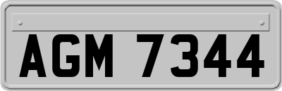 AGM7344