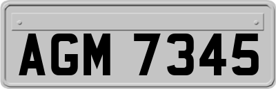 AGM7345
