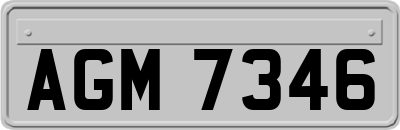 AGM7346