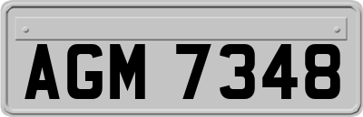 AGM7348